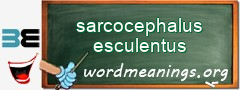 WordMeaning blackboard for sarcocephalus esculentus